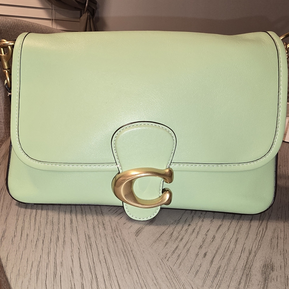 GUARANTEED AUTHENTIC Mint Coach Soft Tabby